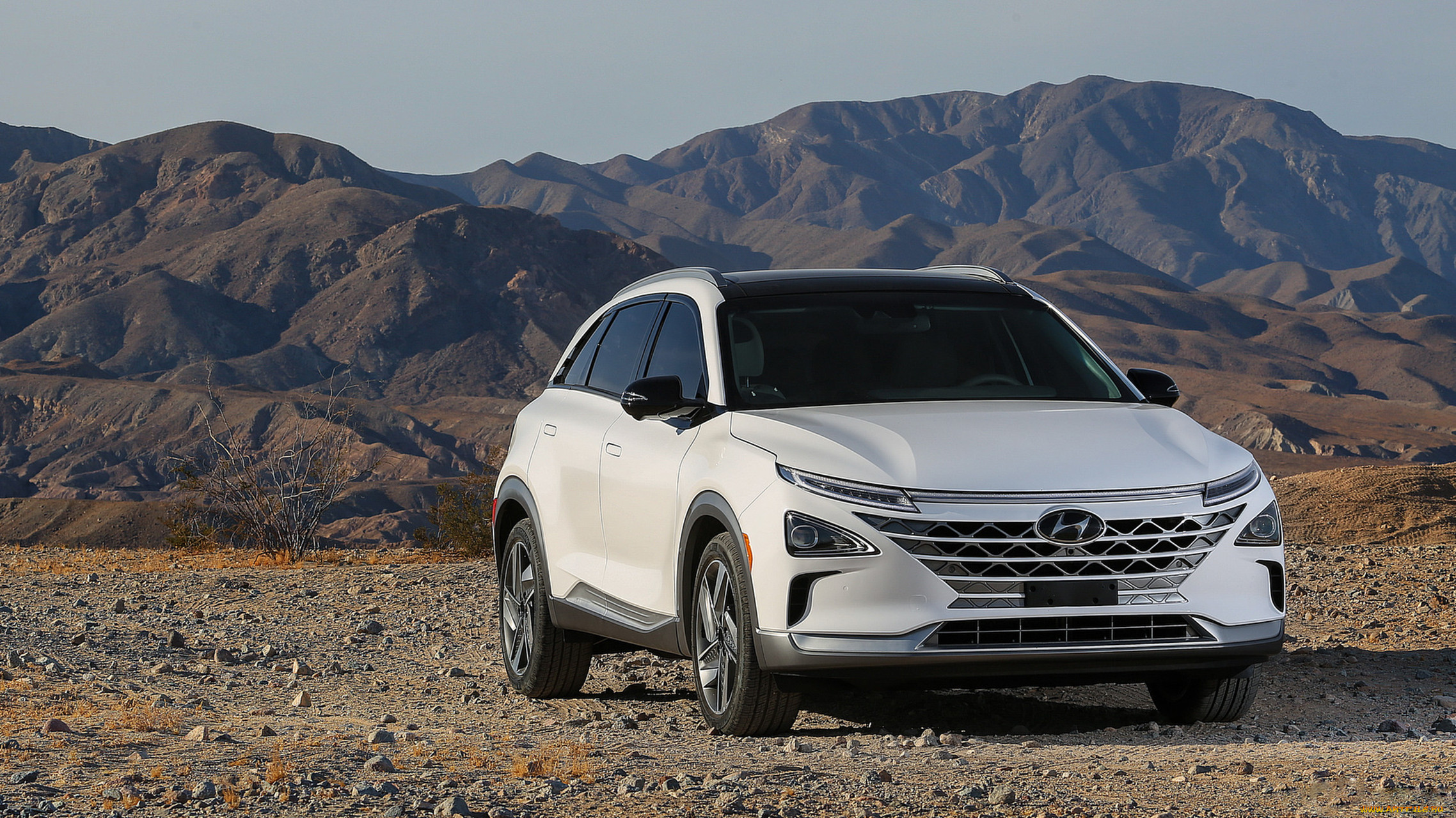 hyundai nexo fcev 2019, , hyundai, , 2019, fcev, nexo